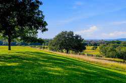 2650 Bandera Hwy Kerrville Kerrville TX 78028