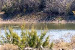 Fm 89 Merkel TX 79536