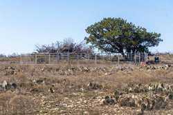 Fm 89 Merkel TX 79536