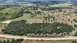 TBD Highway 304 Harwood TX 78632