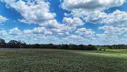 TBD Highway 304 Harwood TX 78632
