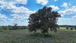 TBD Highway 304 Harwood TX 78632