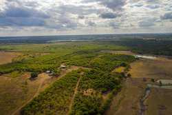 Hondo TX