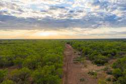 Hondo TX