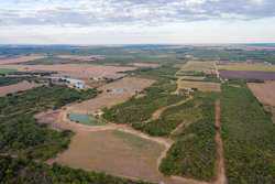 Hondo TX