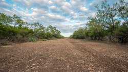 Hondo TX