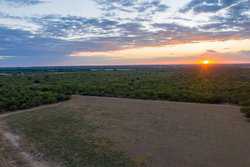 Hondo TX