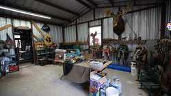 Hondo TX