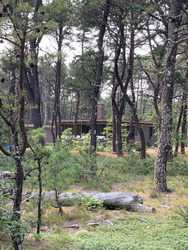 68 Highland Road NORTH TRURO MA 02652