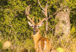 7556 County Road 312 Tx 78643 LLANO TX 78643
