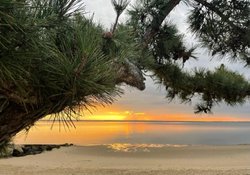 54 Commercial Street Provincetown MA 02657