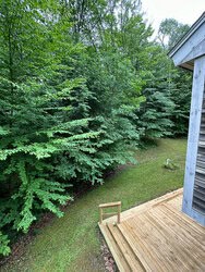 Cavendish vt