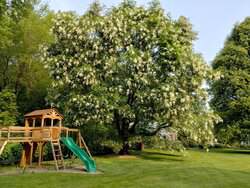 429 Summer Street Westwood MA 02090