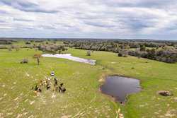 Highway 304 Rosanky TX 78953