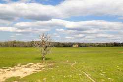 Highway 304 Rosanky TX 78953