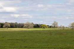 Highway 304 Rosanky TX 78953