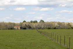 Highway 304 Rosanky TX 78953