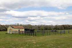 Highway 304 Rosanky TX 78953