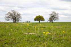 Highway 304 Rosanky TX 78953