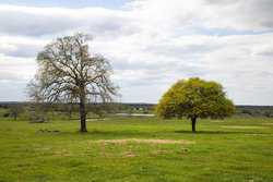 Highway 304 Rosanky TX 78953