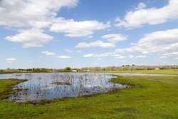 Highway 304 Rosanky TX 78953