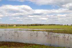 Highway 304 Rosanky TX 78953