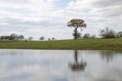 Highway 304 Rosanky TX 78953