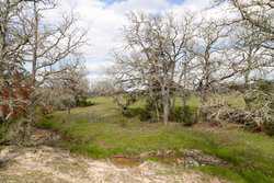 Highway 304 Rosanky TX 78953