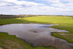 Highway 304 Rosanky TX 78953