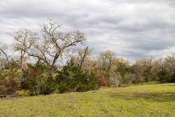 Highway 304 Rosanky TX 78953