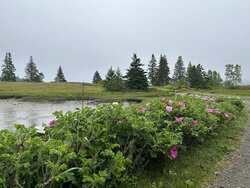 North Haven ME 04853