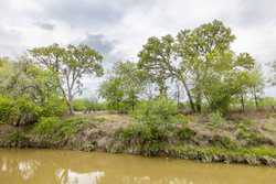 Three Rivers TX 78071