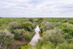 Three Rivers TX 78071