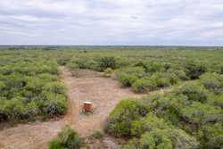 Three Rivers TX 78071