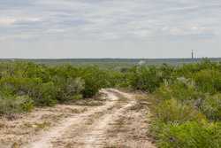 Three Rivers TX 78071