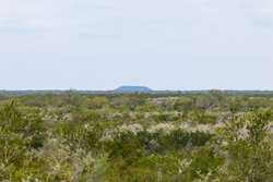 Three Rivers TX 78071