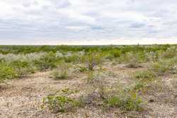 Three Rivers TX 78071