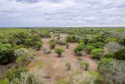 Three Rivers TX 78071