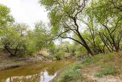 Three Rivers TX 78071