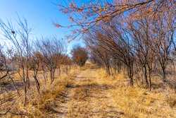 1009 Paisano Road Del Rio TX 78840