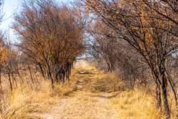 1009 Paisano Road Del Rio TX 78840