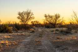1009 Paisano Road Del Rio TX 78840