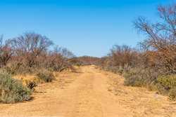1009 Paisano Road Del Rio TX 78840