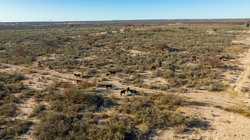 1009 Paisano Road Del Rio TX 78840