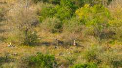 Highway 16 LLANO TX 78643