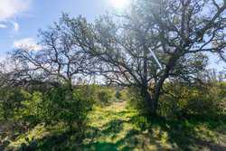 Highway 16 LLANO TX 78643