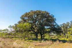 Highway 16 LLANO TX 78643