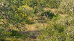 Highway 16 LLANO TX 78643