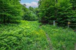 Sawmill Road Stratton VT 05155