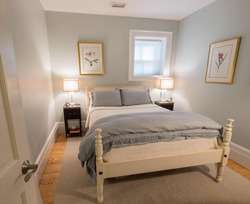 41 Worcester Street Boston MA 02118